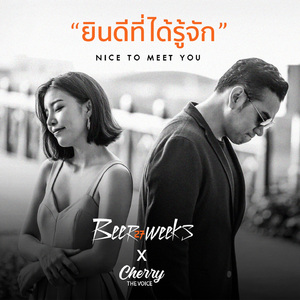 ยินดีที่ได้รู้จัก