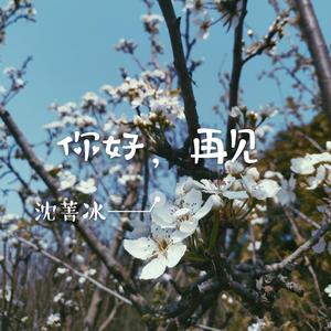 白山茶（翻自 陈雪凝）