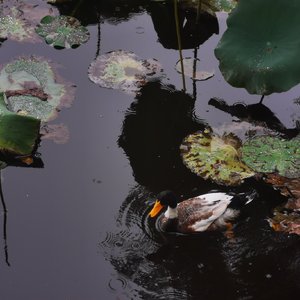 跳口机之趣