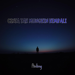 Cinta Tak Mungkin Kembali