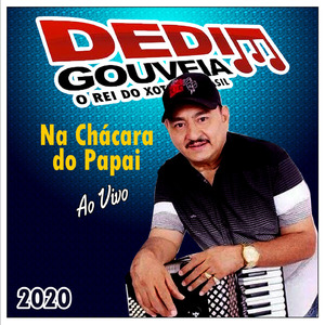 Zé Priquito - Ao Vivo