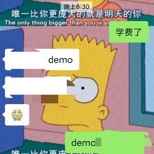 随demo