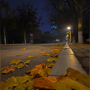 见过花开就好了