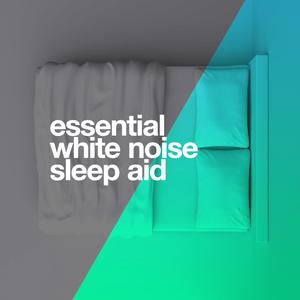 White Noise: A Kettle and Microwave