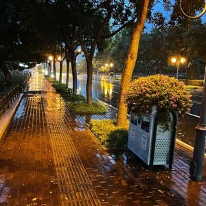 三年的回忆 片段版