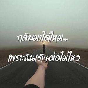 กลับมาได้ไหม... เพราะฉันเดินต่อไม่ไหว