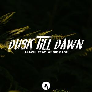 Dusk Till Dawn (feat. Andie Case)