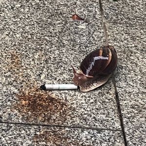 waste time prod.Keerad