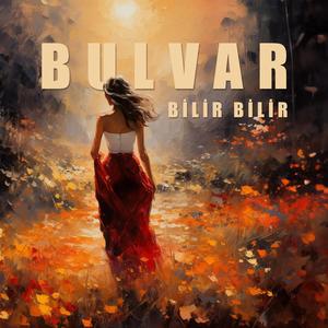 Bilir Bilir