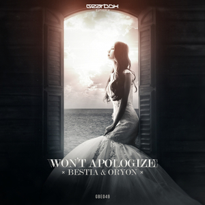 Won't Apologize (Original Mix)