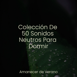 Secretos Enigmáticos Dentro