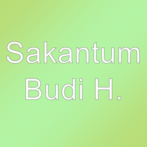Budi H.