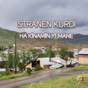 Ha Kinamin Yemane