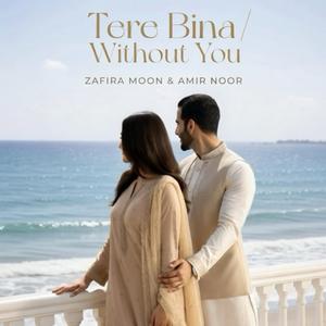 Tere Bina (Without You)