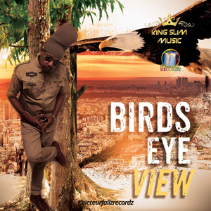 Bird Eye View