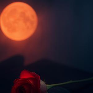 Potichu (Slow Version)