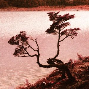 Luz Transformada (feat. Ezequiel Cantero)