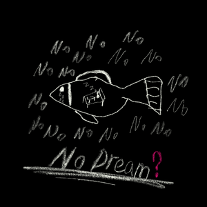NO DREAM