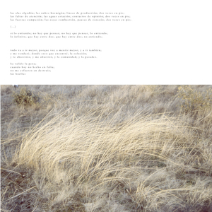 Todo va a ir mejor (El Campo Version)