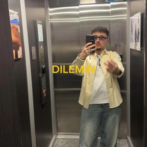 Dilemin