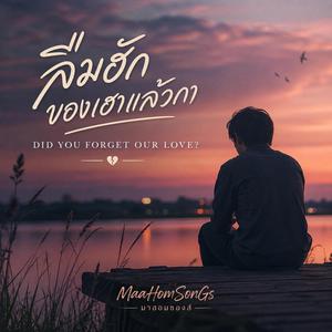 ลืมฮักของเฮาแล้วกา (Did You Forget Our Love?)