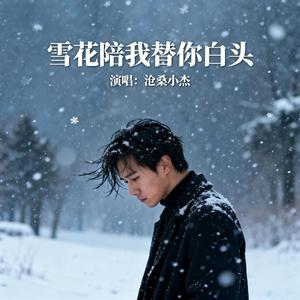 雪花陪我替你白头