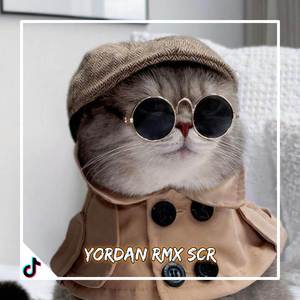 DJ BALE BALE X TAME FEBRINO X I AM LOCO X CUKY CUKY VIRAL TIKTOK TERBARU 2022 Yordan Remix Scr