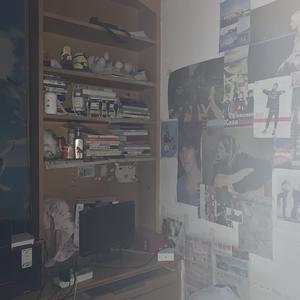 我的第一首卧室音乐