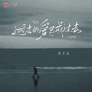 逝去的爱已成过去 (伴奏)
