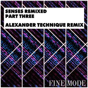 Senses (Alexander Technique Remix)