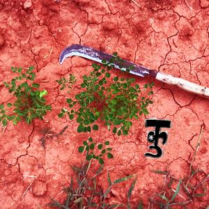 chopskii (interlude)