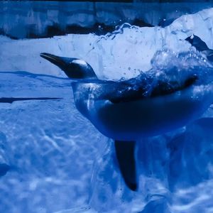 We Should Fall In Love (instrumental)