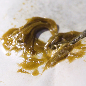 Rosin