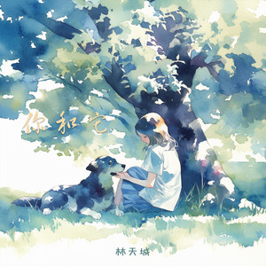 你和它 (加速版)