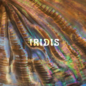Iridis
