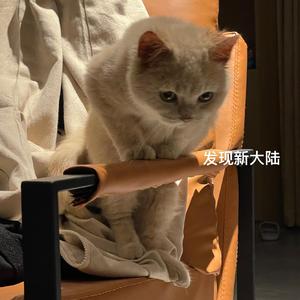 藏在叶子里的奶奶