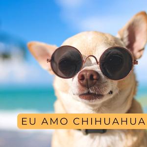 Chihauhua eu amo