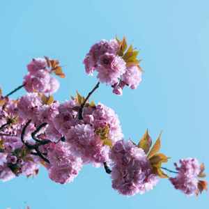 催眠音乐快速入睡 (钢琴曲)