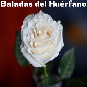 La envidian