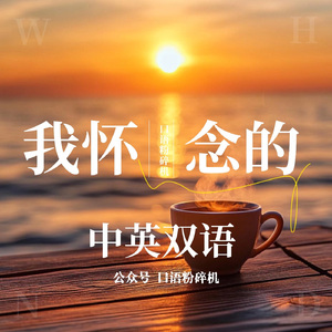 我怀念的（中英双语）