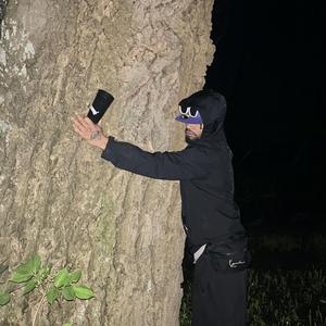 Entschuldige (new jazz)