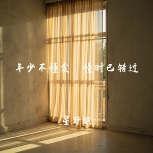 年少不懂爱，懂时已错过