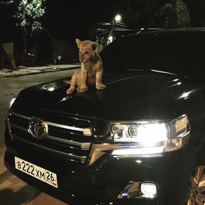 少说永远好过此刻(旋律版)