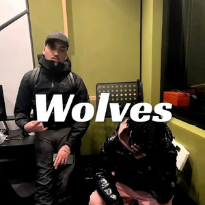 [不免费]--Wolves--Simba La Rue Type Beat