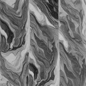 PUPPY PRINCESS (Cover)