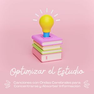 Optimizar el Estudio