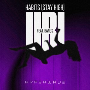 Habits (Stay High)