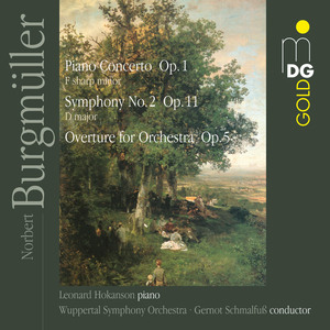 Piano Concerto in F-Sharp Minor, Op. 1: I. Allegro ma non troppo