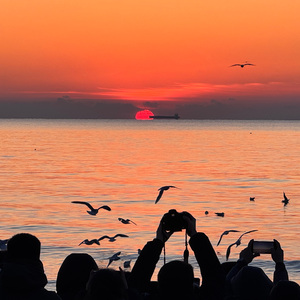 爱就烧成火 不爱就割舍