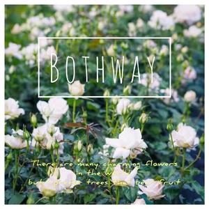 Bothway Love